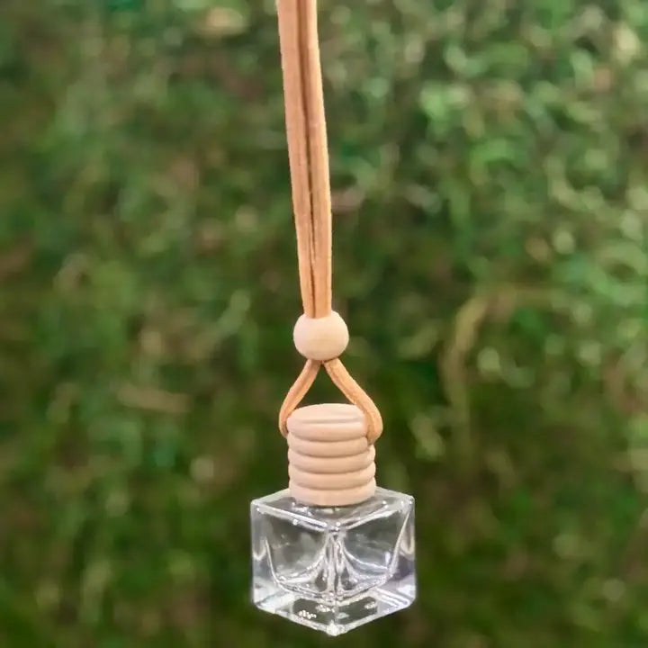 Bird of Paradise Car Diffuser
